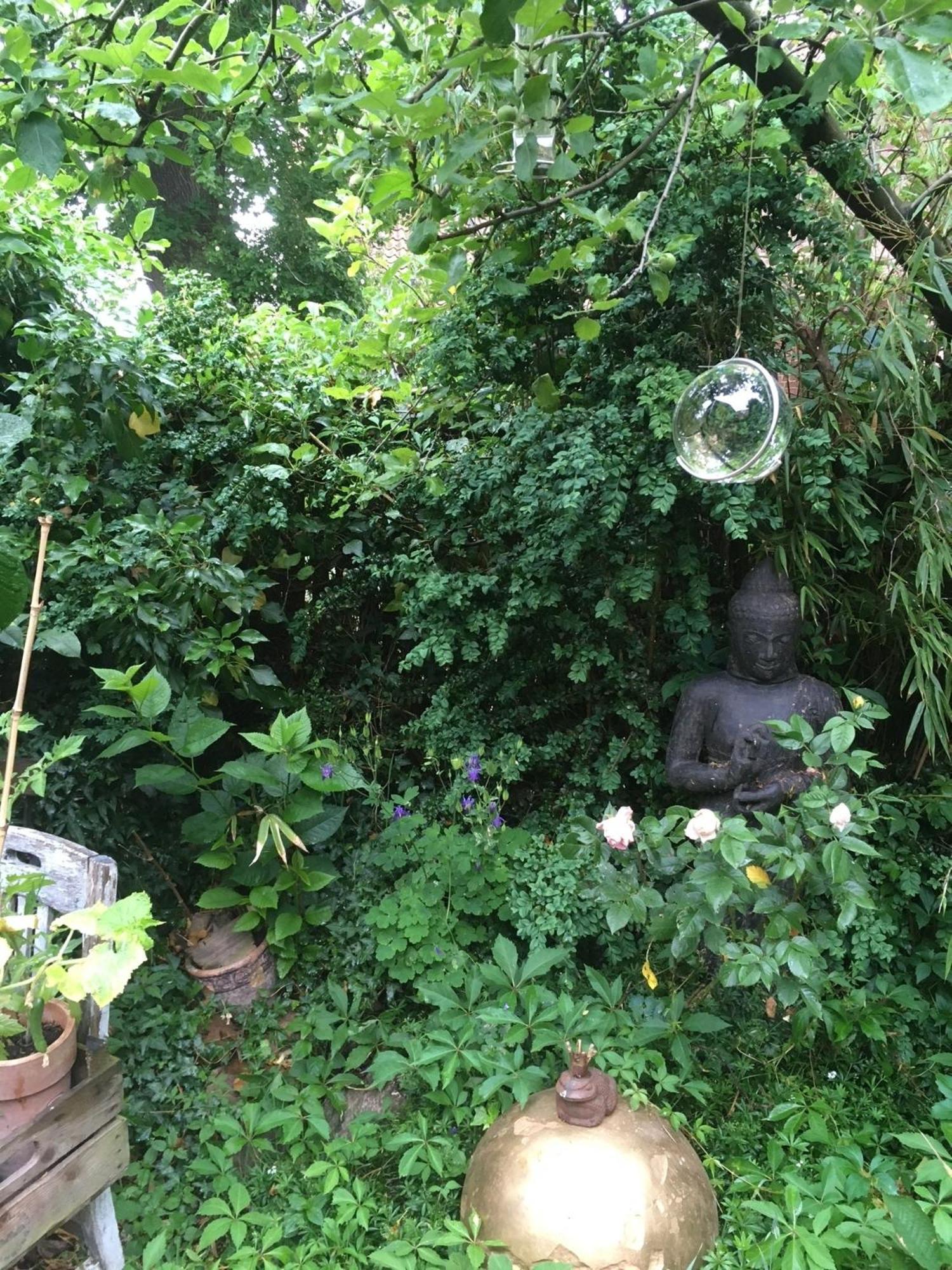 Grosse Hobbithoehle Mit Gemeinschaftsgarten Neustadt am Rübenberge Kültér fotó