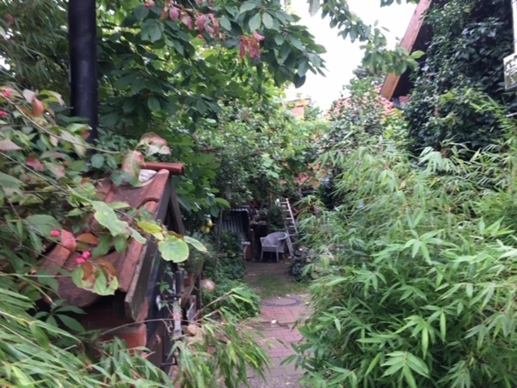 Grosse Hobbithoehle Mit Gemeinschaftsgarten Neustadt am Rübenberge Kültér fotó